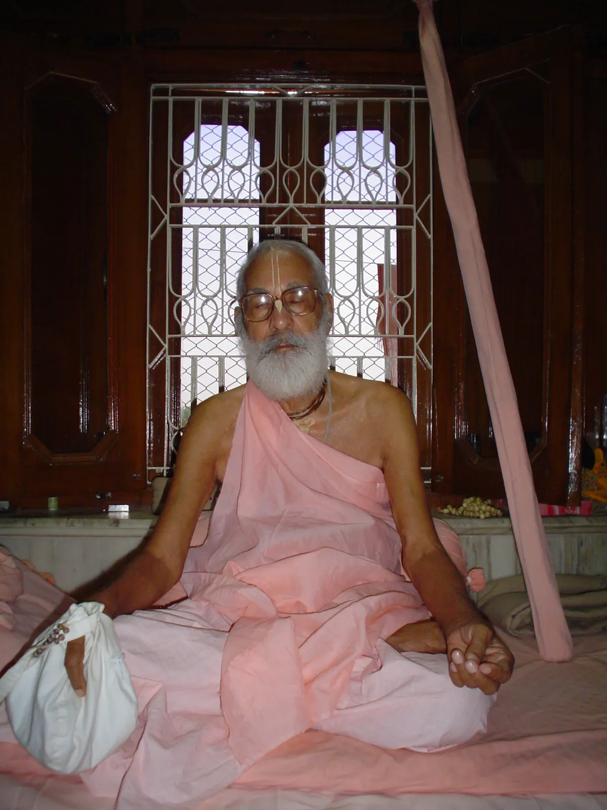 Bathe in the Rasa-samudra - 16 June 1996