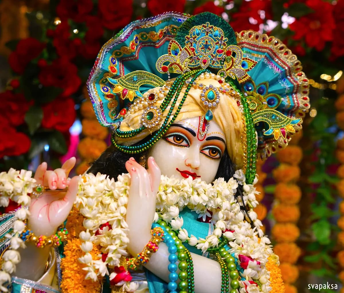 HOW DID THE GOPIS FEEL WHEN KRSNA REAPPEARED AFTER DISAPPEARING FROM THE RASA DANCE?