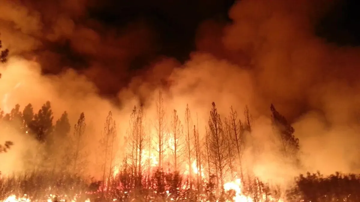 The Metaphor and Lila of Swallowing the Forest Fire - 13 Feb 1997 Australia