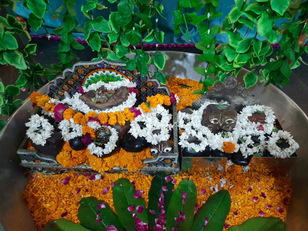Śālagrāma and the Universal Egg (Kesava vrat - Part 3)